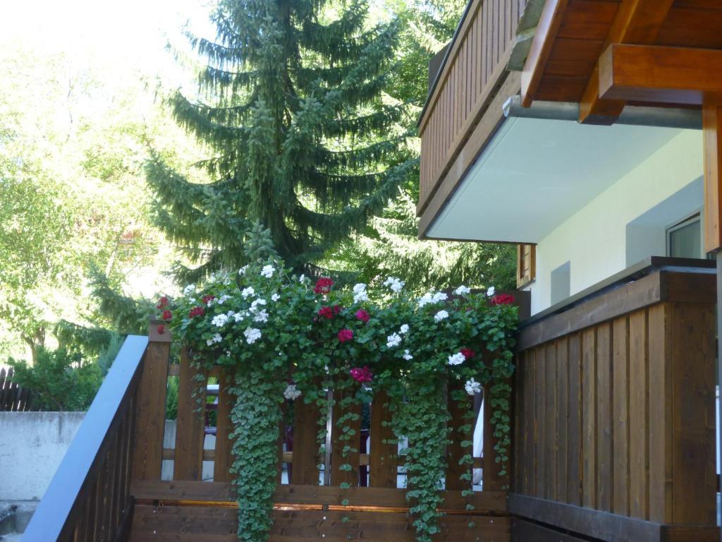 Jolimont Appartement